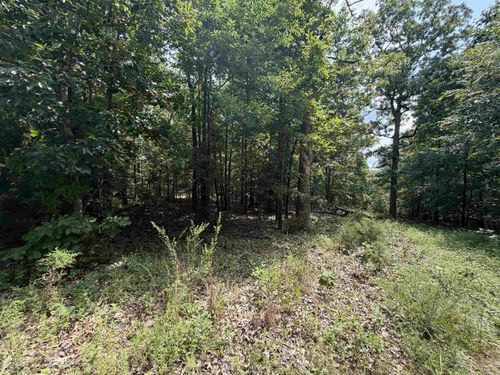Lot 25 Blackfoot Drive, Cherokee Village, AR, 72529 | Card Image