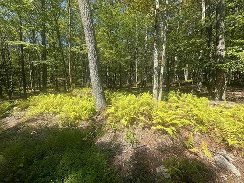 lot-47-47 Daylily Ct, Terra Alta, WV, 26764-3158 | Card Image