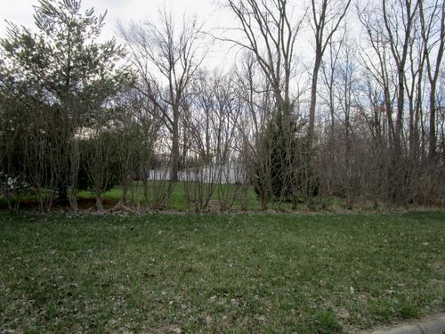 Vacant Lange Avenue, Brownstown Charter Township, MI, 48174 | Card Image