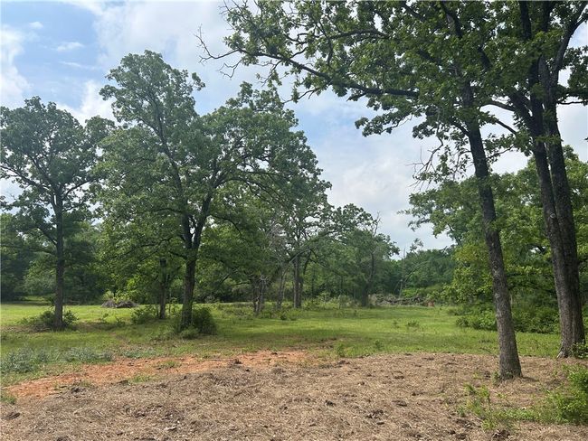View of local wilderness | Image 8