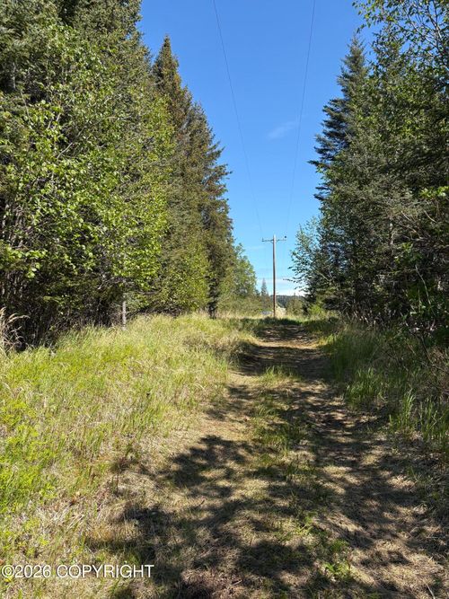L3A Virginia Ave, Homer, AK, 99603 | Card Image