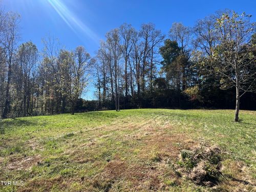 Tbd Bull Run Rd, Coeburn, VA, 24230 | Card Image