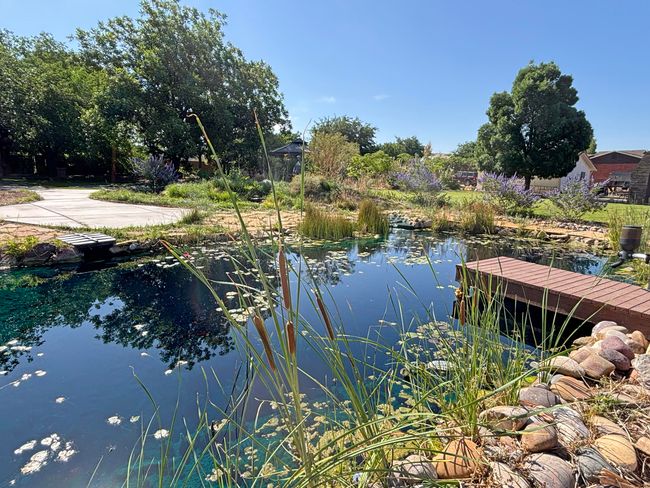 pond | Image 44