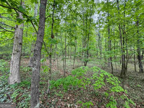 LOT 13 Teel Mountain Drive, Cleveland, GA, 30528 | Card Image