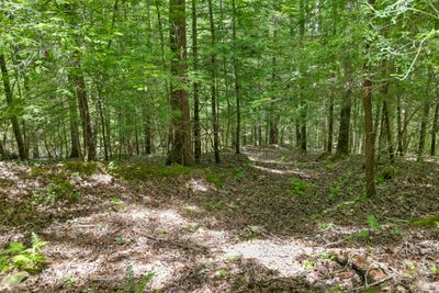 Lot 547 Wilderness Way | Image 3