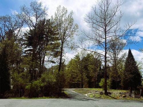 147 Putt Ln, Kingston, NY, 12401-8629 | Card Image