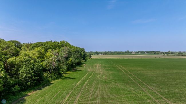 Amdak__Fosston MN - Land_0031.jpg | Image 32