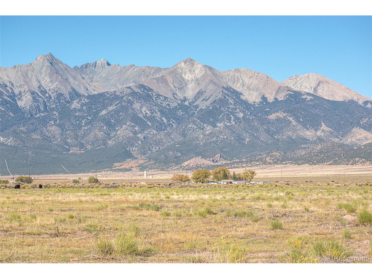 Farm in Blanca 4