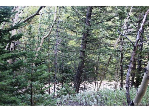 5340 Fs 718.1, Black Hawk, CO, 80422 | Card Image
