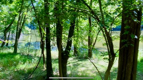 1166 Lake Marie Rd, Gallatin, TN, 37066 | Card Image