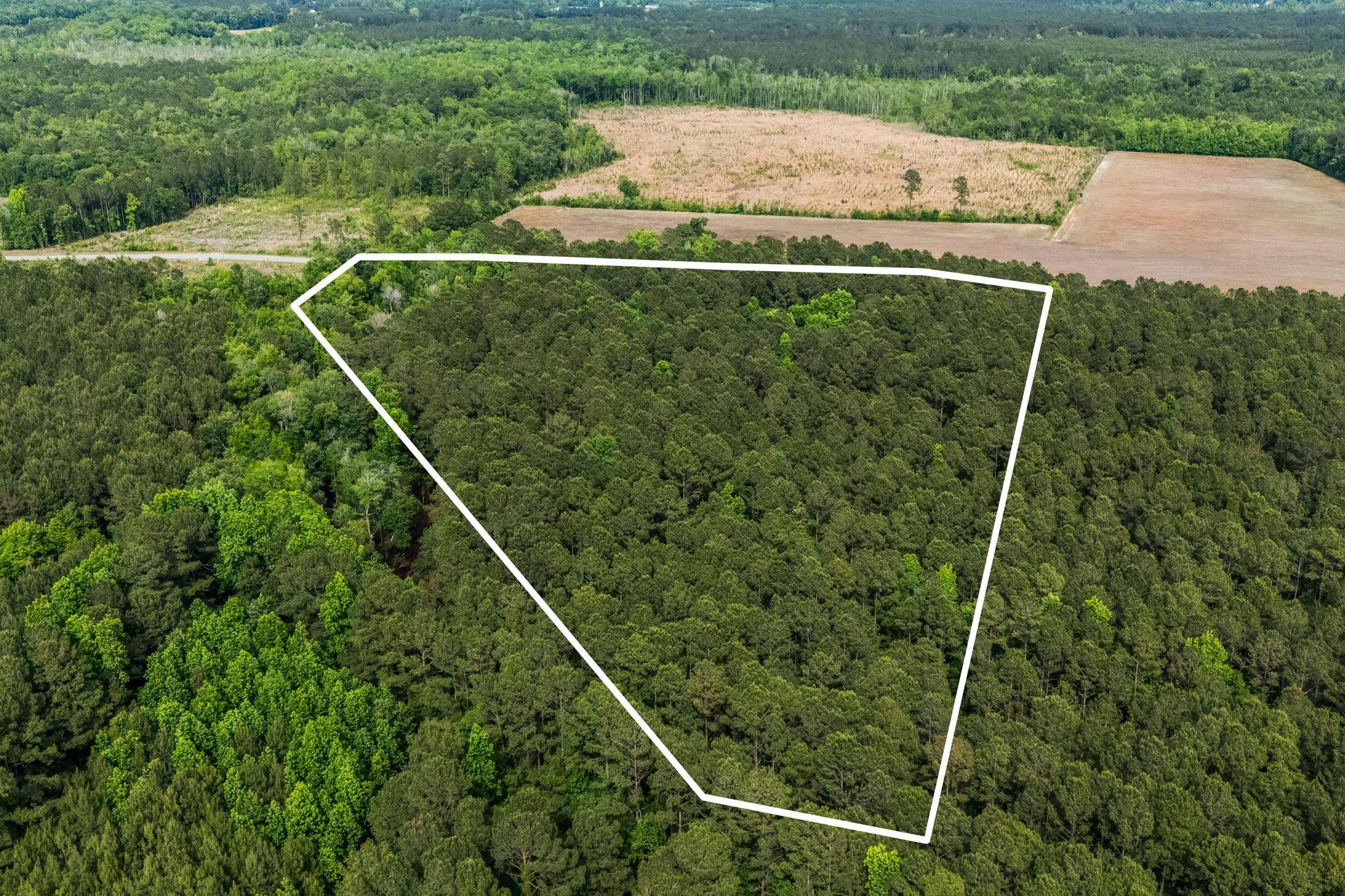 Land in Loris 5