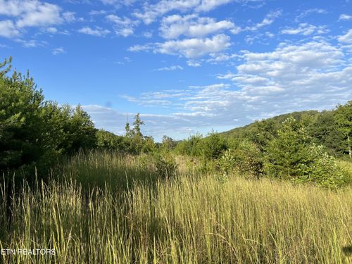 0 Dyer Hollow Rd, Mohawk, TN, 37810 | Card Image