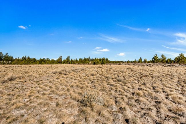 OReilly_20240402_5_295894_72ppi | Image 10