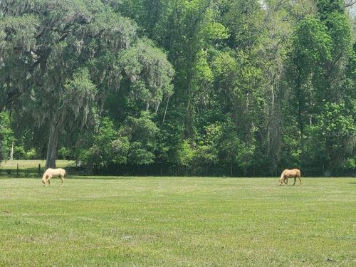 0 Ne 132nd Pl, ANTHONY, FL, 32617 | Card Image