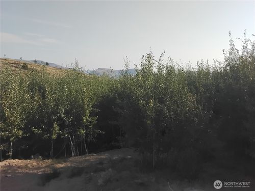 5 Painted Rock Road, Tonasket, WA, 98855 | Card Image
