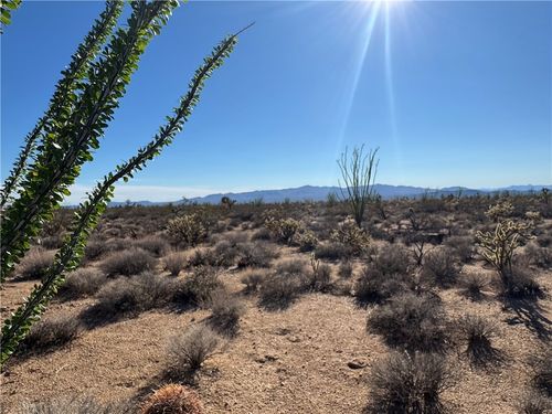 24212013 Sundance Kid Rd, Yucca, AZ, 86438 | Card Image