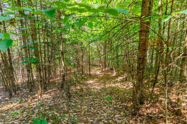 10979 Highway 118, House other with 3 bedrooms, 1 bathrooms and 8 parking in Algonquin Highlands ON | Image 35