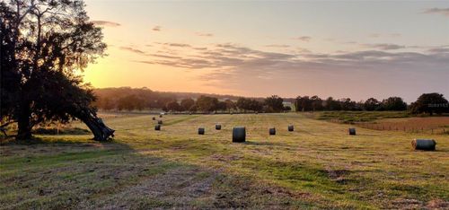 8385 S Pleasant Grove Road, Inverness, FL, 34452 | Card Image