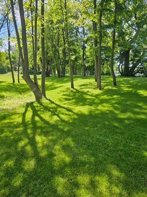 XXX Country Shrs Sw, Alexandria, MN, 56308 | Card Image