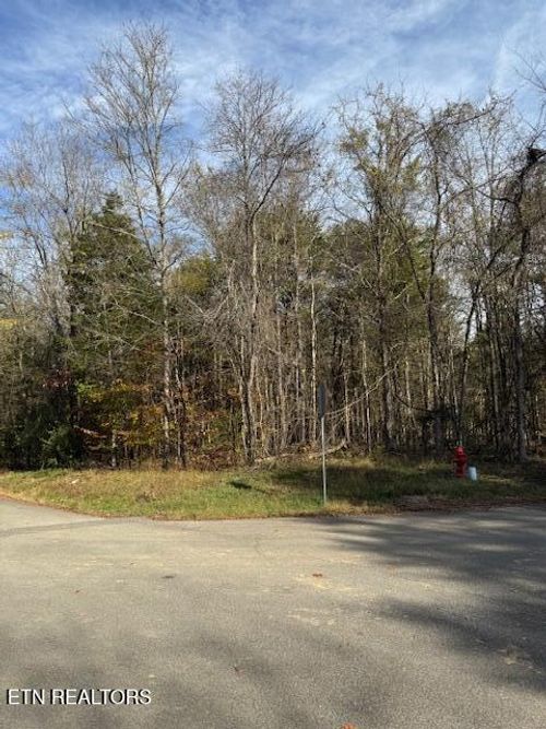 Lot 1023 Cove Ln, White Pine, TN, 37890 | Card Image