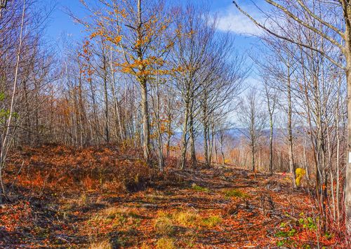 Lot 5 Mine Road, Stoneham, ME, 04231 | Card Image