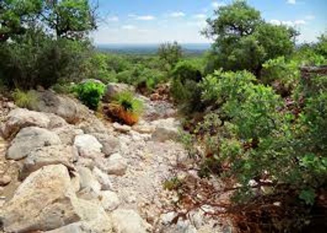 View of nature | Image 40