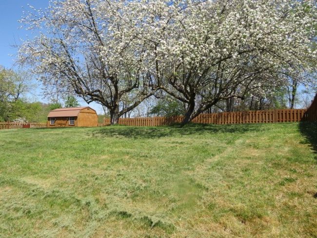 109 Elwood Rd, House other with 2 bedrooms, 2 bathrooms and 1 parking in Apollo PA | Image 29