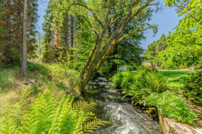 0 Crest View Dr, Home with 0 bedrooms, 0 bathrooms and null parking in Murphys CA | Image 11