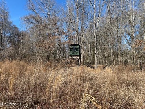 1296 Scotland Road, Bentonia, MS, 39040 | Card Image