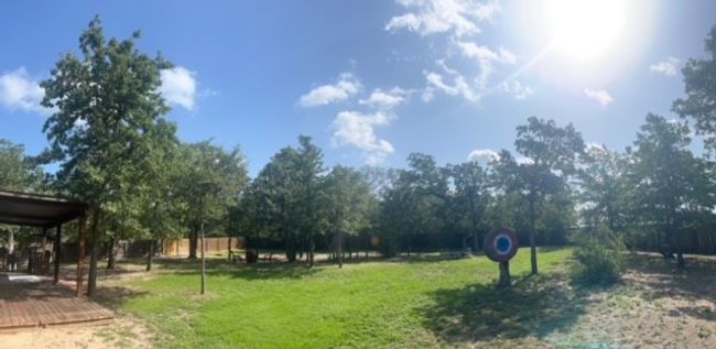 View of green lawn | Image 36