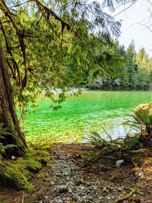 1 Gordon River Rd, Port Renfrew, BC, V0S1K0 | Card Image