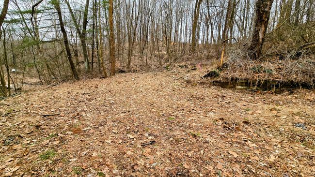 9886 W County Road 75 S, Home with 0 bedrooms, 0 bathrooms and null parking in Medora IN | Image 35