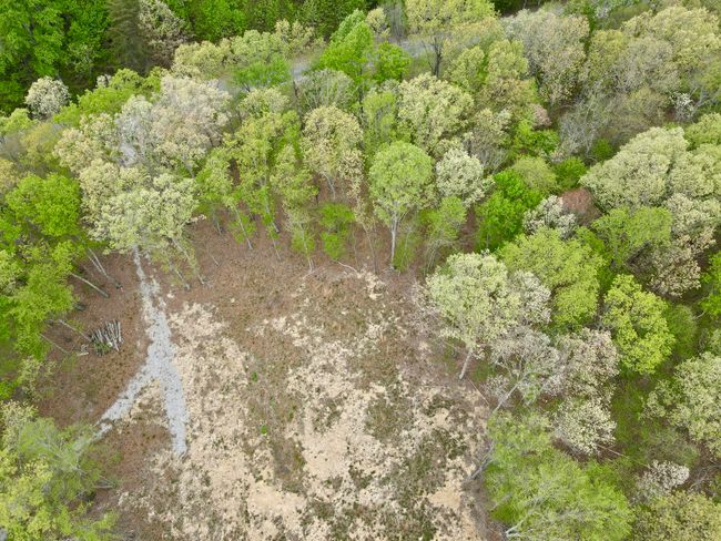 0 Deerwood Dr, Home with 0 bedrooms, 0 bathrooms and null parking in Sewanee TN | Image 35