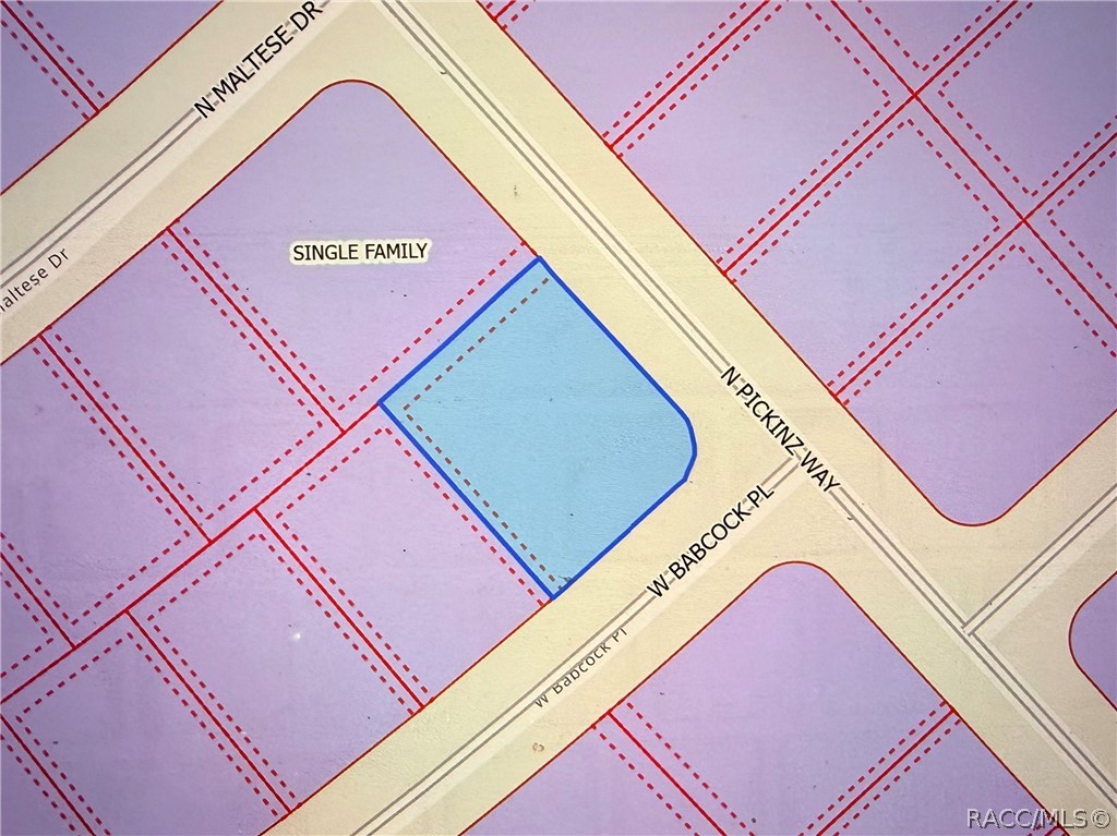 Land in Citrus Springs 4