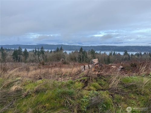 11 Track Rimstone Loop, Belfair, WA, 98528 | Card Image