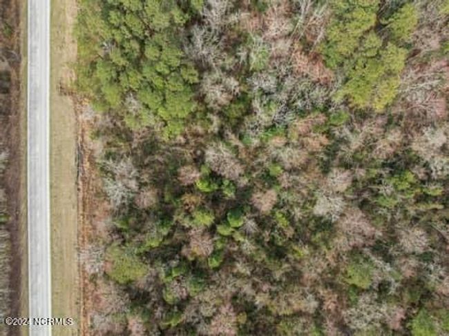 46 Hwy 258 S, Home with 0 bedrooms, 0 bathrooms and null parking in Deep Run NC | Image 9