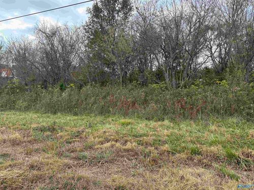 2.44 ac Alabama Highway 75, Ider, AL, 35981 | Card Image