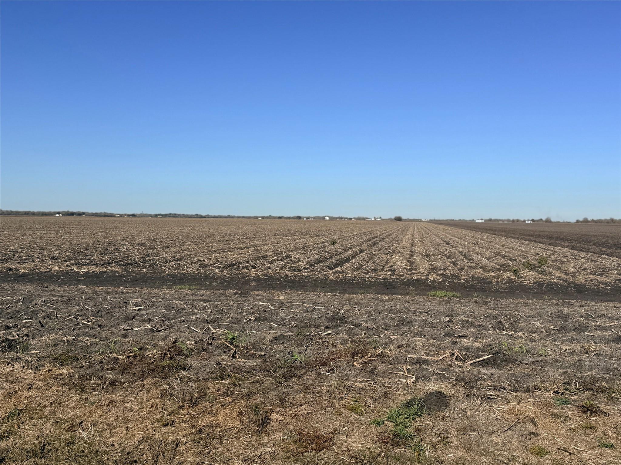 Farm in Kendleton 3
