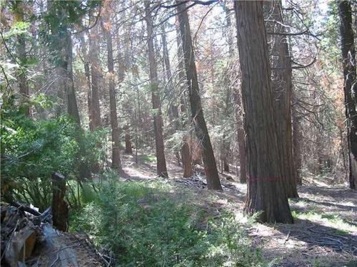 0 Crestline Rd, Palomar Mountain, CA, 92060 | Card Image