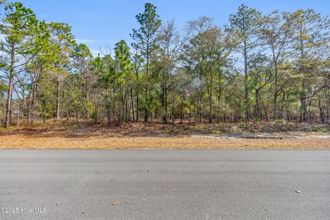 401 Hardison Dr, Home with 0 bedrooms, 0 bathrooms and null parking in Minnesott Beach NC | Image 9