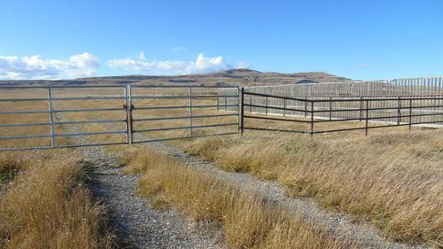 {{alt}} | Card Image