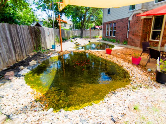 Fenced backyard with a garden pond | Image 13