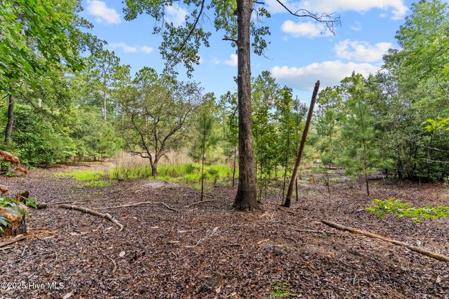 Wooded | Image 5