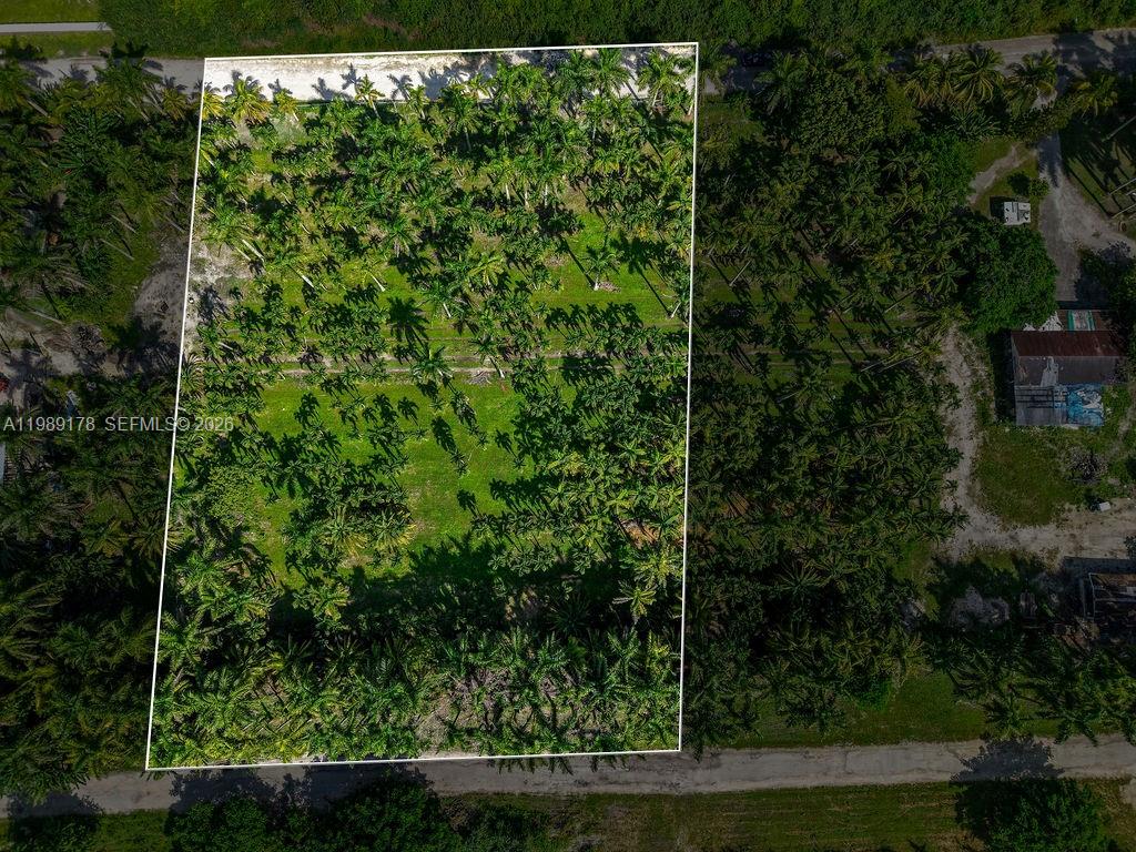 Land in Miami 5