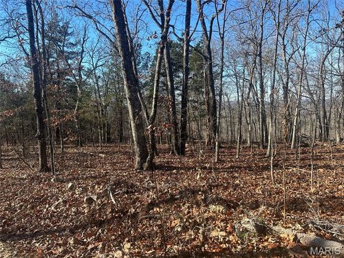 302 Madison St, Fredericktown, MO, 63645-7416 | Card Image