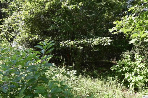 000 Plum Grove Rd, Pioneer, LA, 71266 | Card Image