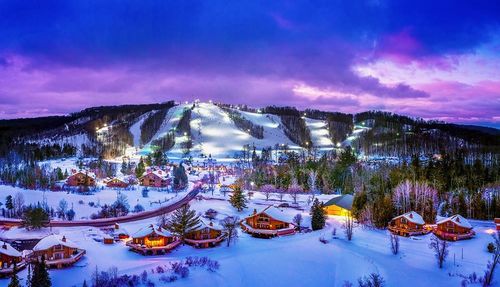 6520 Schuss Mountain Ln, Mancelona, MI, 49659 | Card Image