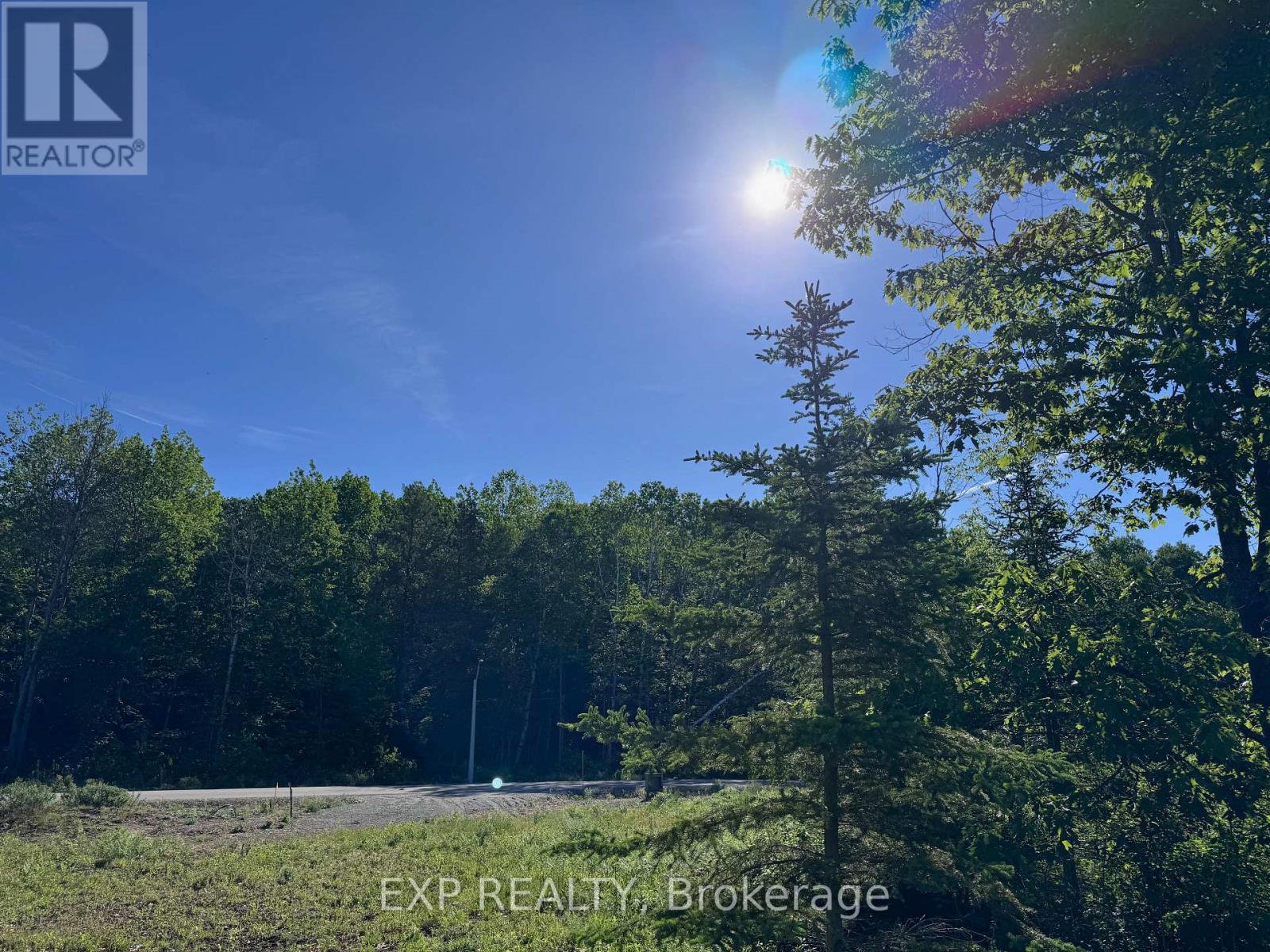 Land in Madawaska Valley 4
