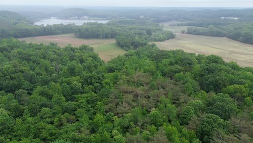0 Lost Creek Farm Rd, Decaturville, TN, 38329 | Card Image