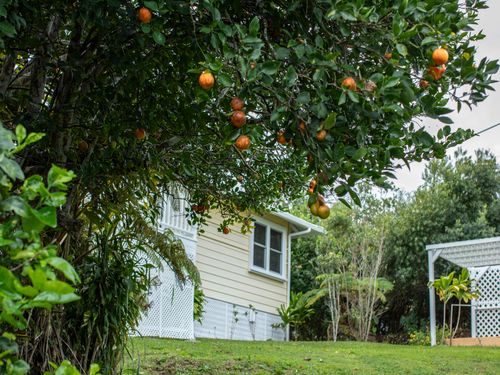 45-3345 Ulu St, HONOKAA, HI, 96727 | Card Image